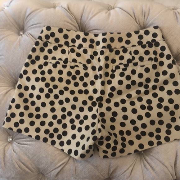 J Crew tan and black polka dot shorts. - Picture 2 of 3